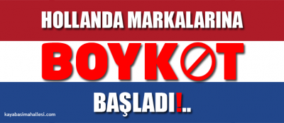 Türkiye’deki Hollanda Firmaları Malları Ürünleri Şirketleri Nelerdir