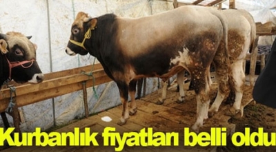 Kurban Bayramı 2017 Kurbanlık Fiyatları Migros Diyanet Bağış Bayramı Tarihi Ne Zaman Küpe No Sorgulama İstanbul Koyun Fiyatları Tatili Kaç Gün