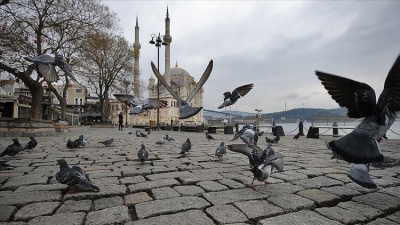 Yasakta Açık Olan Yerler